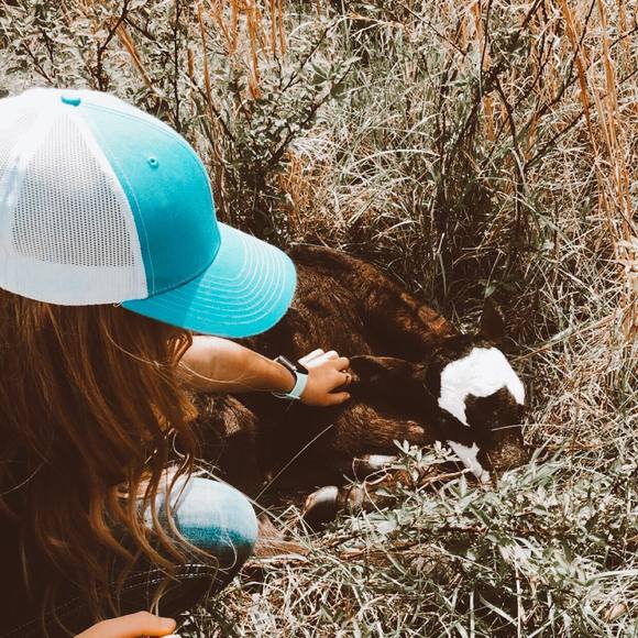 Meet your Posher, Addison - Picture 1 of 1